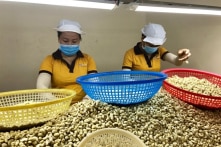 Hiệp hội VPA: 4 doanh nghiệp Việt có nguy cơ bị lừa 500.000 USD