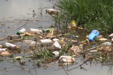 Lâm Đồng: Mỗi năm khoảng 300 tấn vỏ chai, bao bì thuốc BVTV bị thải bỏ