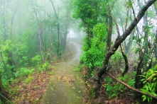 Du lịch: Khám phá ngôi làng Mawsynram ẩm ướt nhất thế giới