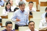 ĐBQH: 'Dày dạn công tác mấy chục năm rồi đứng trước vành móng ngựa thì phải xem lại'