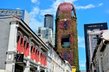 Khách sạn Oasia Singapore: Khu vườn thẳng đứng với 21 loài dây leo