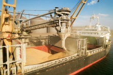 Ukraine xuất 211 tàu chở hàng với 4,7 triệu tấn nông sản qua Biển Đen