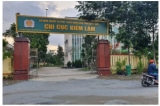 chi cuc kiem lam quang ngai
