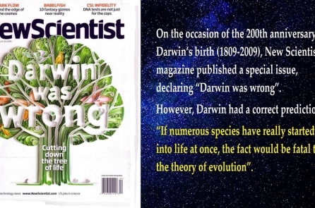 Một tiên đoán đúng của Darwin