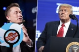 Donald Trump Elon Musk