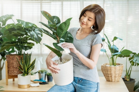 Điều gì khiến bạn luôn tất bật? Hãy tìm lại phiên bản hạnh phúc của chính bạn