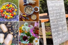 Hướng đến lối sống bền vững bằng cách tự trồng thực phẩm