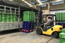 “Về tay” người Thái từ cuối năm 2017, Sabeco lãi bình quân hơn 4.800 tỷ đồng/năm