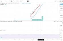 Thua lỗ hơn nghìn tỷ, thị giá cổ phiếu VNZ vẫn “vọt” lên tới gần 900.000 đồng