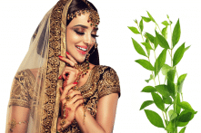 Henna – Thần dược cho sắc đẹp và biểu tượng văn hóa của thế giới