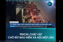 TP.HCM: Hơn 40.110 hồ sơ rút bảo hiểm xã hội một lần, cơ quan quá tải