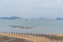 Học giả: Tập Cận Bình sẽ không tấn công Đài Loan trừ 2 tình huống