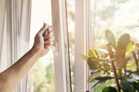 Thường xuyên không mở cửa sổ có thể dẫn đến teo não 