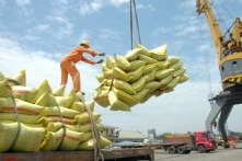 Giá gạo giảm mạnh trong tháng 1