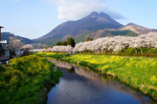 Bệnh tật sẽ tự bỏ đi, nếu bạn tích cực thân thiện đến gần nó