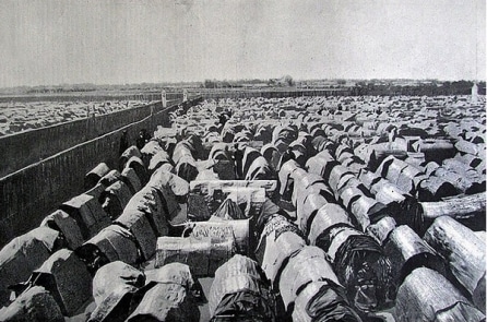 Vùng đất Kẻ Rưng và cuốn “Tam xã đăng khoa lục”