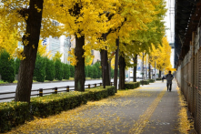 Suy ngẫm các thể nghiệm hàng ngày