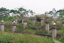 Họ Ngô Lý Trai: Dòng họ 5 đời đỗ đại khoa và ngôi mộ thiên táng