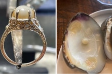 Tìm thấy ngọc quý trong bữa tối, thực khách dùng luôn làm nhẫn đính hôn