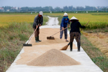 Việt Nam muốn tăng xuất khẩu gạo ra nước ngoài khi giá tăng