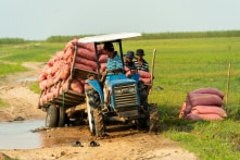 Việt Nam xuất gạo sang Indonesia nhiều nhất trong tháng 9