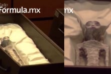 Nhà báo trưng bày “sinh vật không phải con người” tại phiên điều trần Mexico