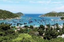 Ninh Thuận nói gì về việc chuyển hơn 11ha rừng làm dự án du lịch?