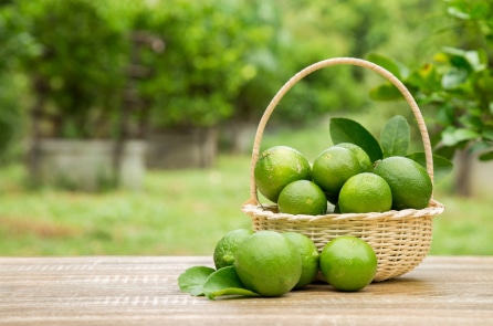 Chanh: Loại quả chua hỗ trợ miễn dịch và ngăn ngừa sỏi thận