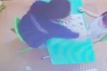 Vụ bé gái 2 tuổi bị bạo hành: Cô giáo bị cho nghỉ việc