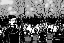 Đôi nét về Chu Mạnh Trinh