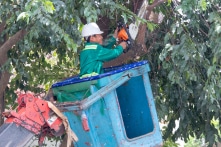 ‘Mức đóng BHXH năm 2022 đã gấp gần 10 lần so với năm 2007’