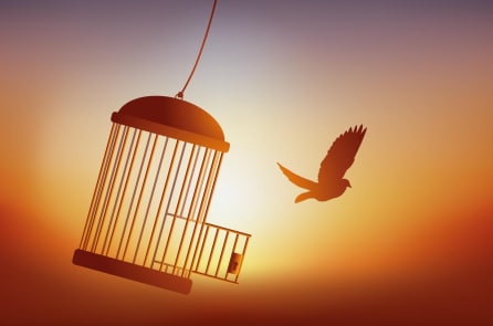 5 ‘món nợ’ này tránh đừng mắc phải, cuộc đời mới có thể thanh thản, tự do
