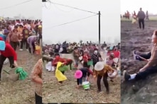 Trung Quốc: Hàng trăm người xông vào cướp dược liệu đang được thu hoạch