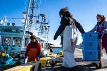 Trung Quốc bất ngờ tuyên bố nối lại nhập khẩu thủy sản Nhật Bản