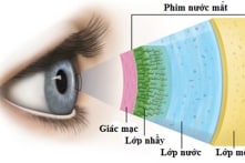 Những bí ẩn đáng kinh ngạc về cặp mắt của con người – Phần 3