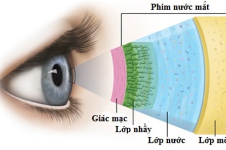 Những bí ẩn đáng kinh ngạc về cặp mắt của con người – Phần 3
