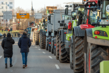 Nông sản Ukraine được miễn thuế thêm 1 năm, nông dân EU tiếp tục phản đối