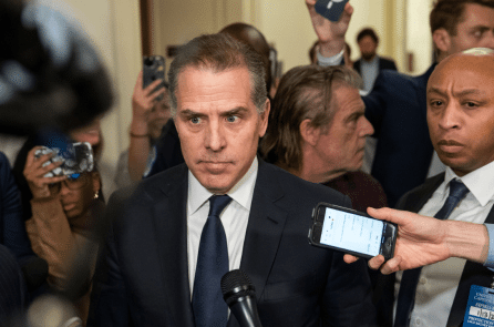 Hunter Biden thách thức con trai ông Trump đấu võ trong lồng sắt