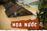 hoa nuoc cover 2