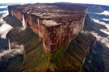 Nhiều quả núi là các gốc cây khổng lồ hóa thạch?