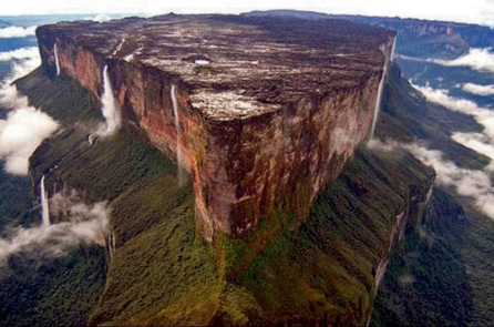 Nhiều quả núi là các gốc cây khổng lồ hóa thạch?