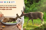 Thịt thú rừng - 90% động vật hoang dã bị săn bắt vào nhà hàng, quán nhậu