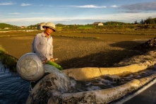 Hà Tĩnh, Quảng Bình, Quảng Trị… nóng hơn 41 độ