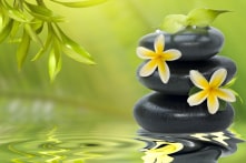 Trái tim và khối óc ghi dấu mọi giây phút nóng giận của chúng ta