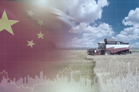 ĐCSTQ ra luật mới cho nông thôn chuẩn bị cho chiến tranh và nạn đói