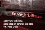 NYT dang tin bop meo thumb00