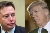 Trump Musk