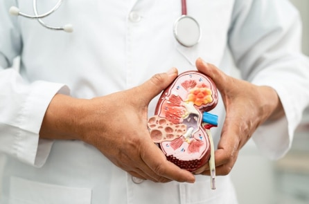 Bác sĩ nhắc nhở: Cần kiểm soát chặt chẽ mỡ máu để trì hoãn lão hóa thận