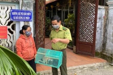 Huế đề nghị Phật tử không mua chim phóng sinh