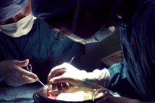 TQ: Bác sĩ trộm bán thi thể người rất có thể liên quan đến thu hoạch nội tạng sống